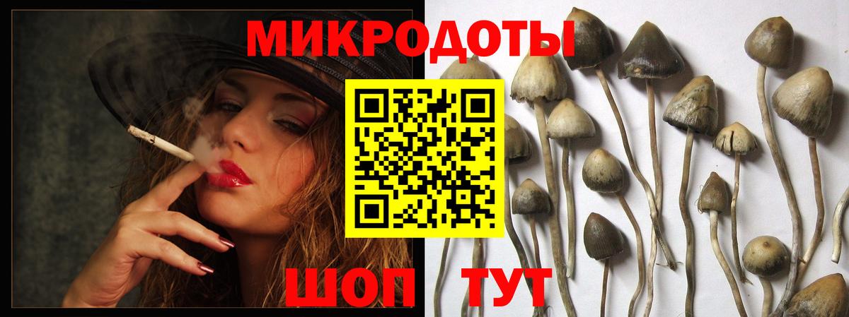 Галлюциногенные грибы Cubensis  цена наркотик  Алексеевка  Вход с VPN 